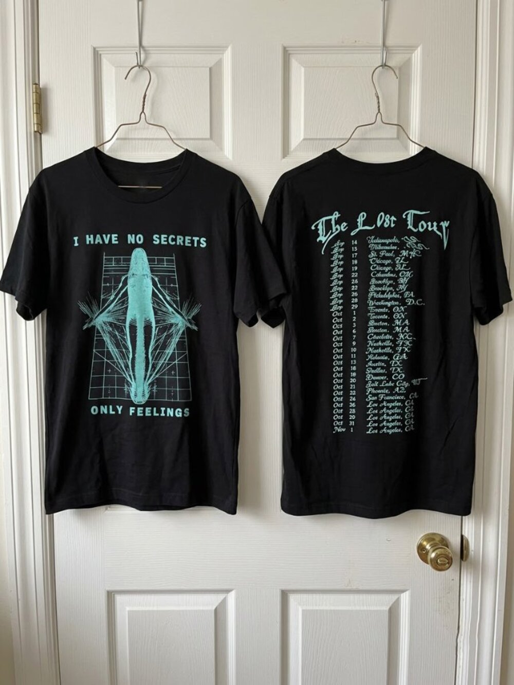 Phoebe Bridgers I Have No Secrets Only Feelings 2026 The Lost Tour Reprint T-Shi
